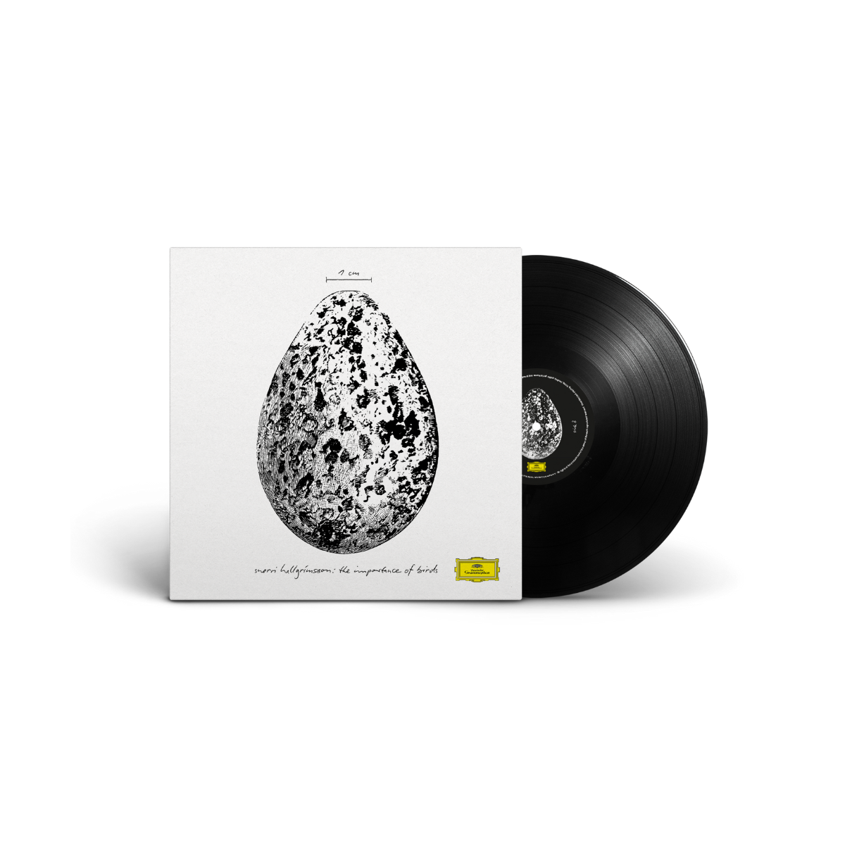 Snorri Hallgrímsson - The Importance of Birds - Black Vinyl